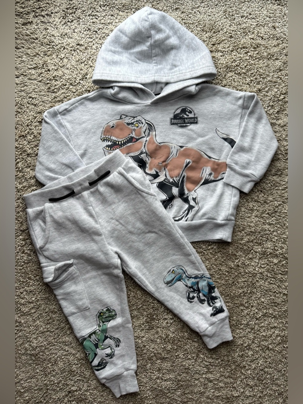 Jurassic World 2T Dinosaur Hoodie & Jogger Set Toddler Boys Grey